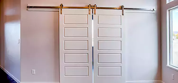 Glass Barn Door with Installation Hardware Kit Renton