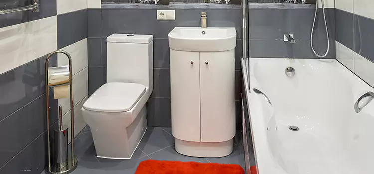 Hansgrohe Shaving Mirror Renton